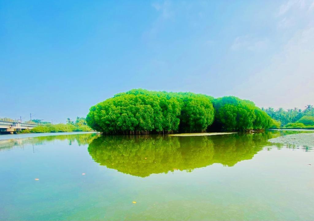 Green Island Homestay Riverside Kozhikode Εξωτερικό φωτογραφία