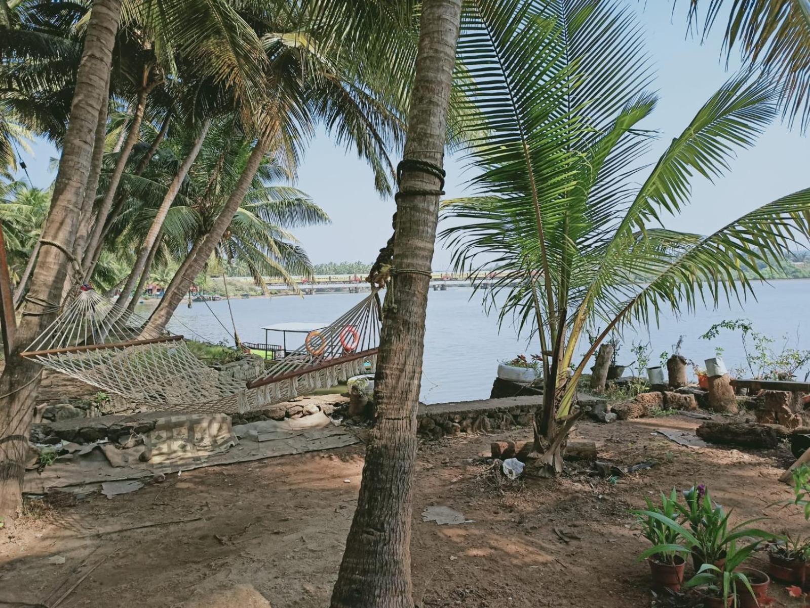 Green Island Homestay Riverside Kozhikode Εξωτερικό φωτογραφία